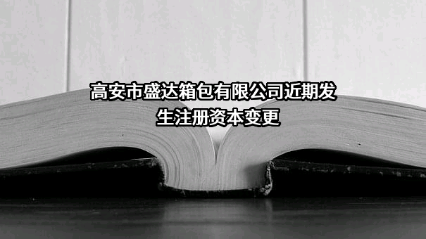 高安市盛达箱包有限公司