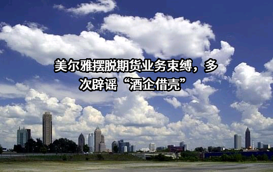 湖北美尔雅股份有限公司