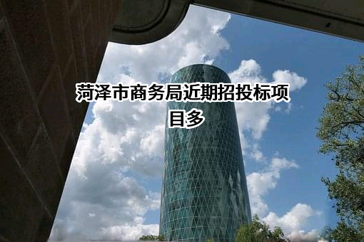 菏泽市商务局近期招投标项目多
