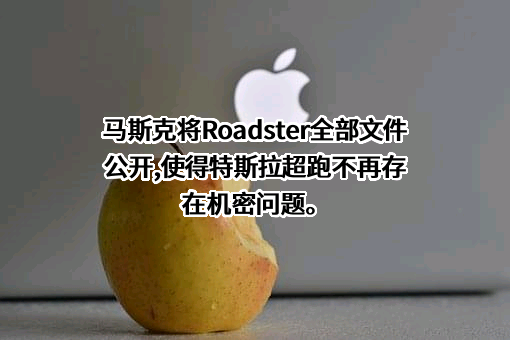 特斯拉（上海）有限公司