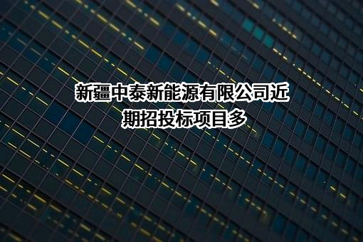 新疆中泰新能源有限公司