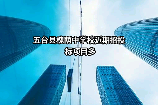 五台县槐荫中学校