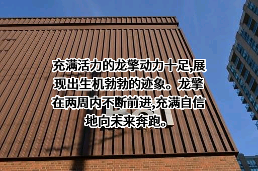 东风专用汽车有限公司