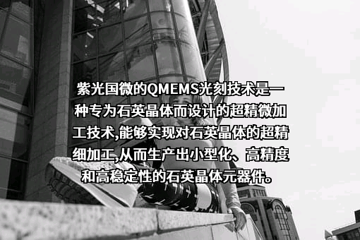 紫光国芯微电子股份有限公司