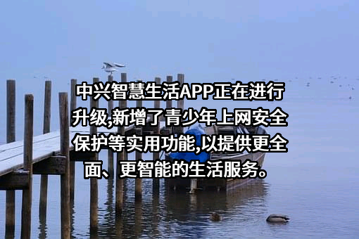 中兴通讯股份有限公司
