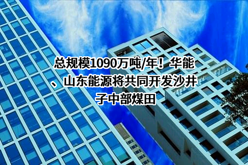 华能甘肃能源开发有限公司