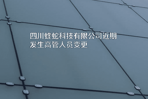 四川蝰蛇科技有限公司