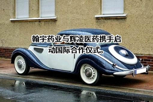 深圳翰宇药业股份有限公司