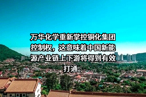 万华化学集团股份有限公司