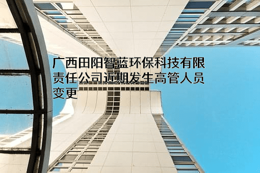 广西田阳智蓝环保科技有限责任公司