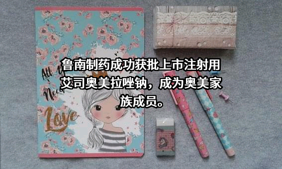 鲁南制药集团股份有限公司