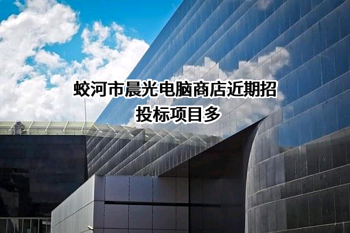 蛟河市晨光电脑商店