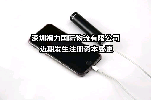 深圳福力国际物流有限公司