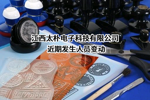 江西太朴电子科技有限公司