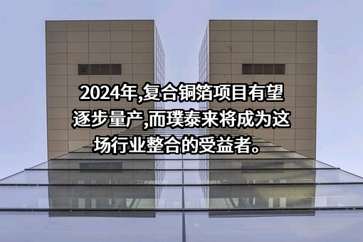 上海璞泰来新能源科技股份有限公司