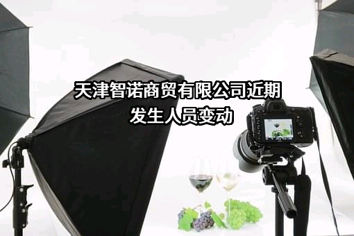 天津智诺商贸有限公司