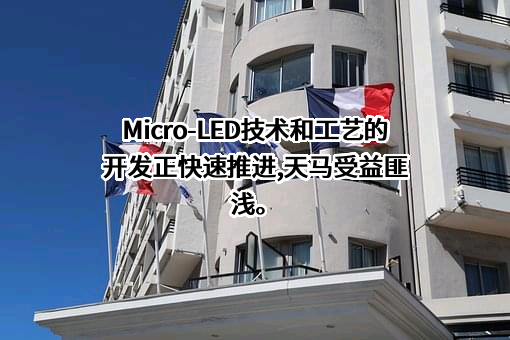 天马微电子股份有限公司