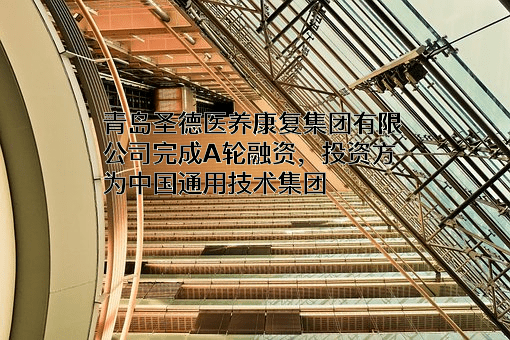 青岛圣德医养康复集团有限公司