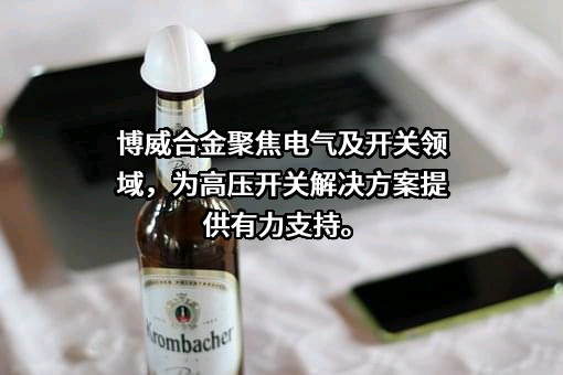 宁波博威合金材料股份有限公司