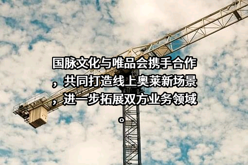 山西国脉文化传媒有限公司
