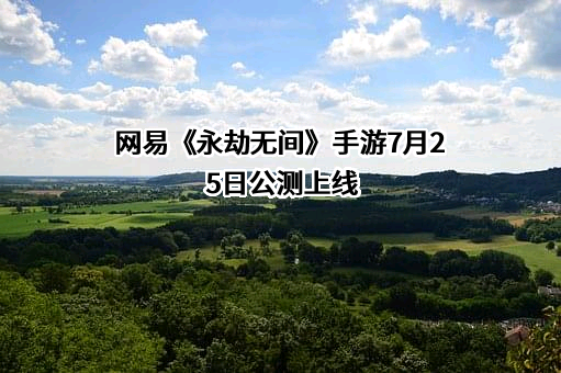 网易（杭州）网络有限公司