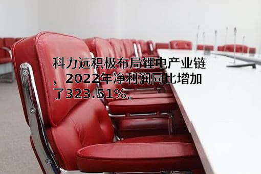 湖南科力远新能源股份有限公司