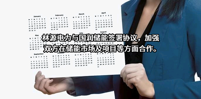 林源电力（南京）有限公司