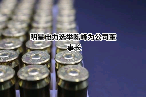 四川明星电力股份有限公司