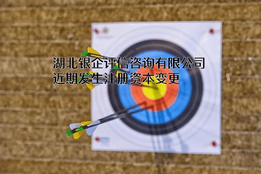 湖北银企评信咨询有限公司