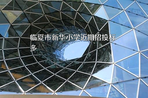 临夏市新华小学