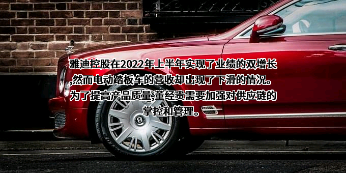 雅迪集团控股有限公司