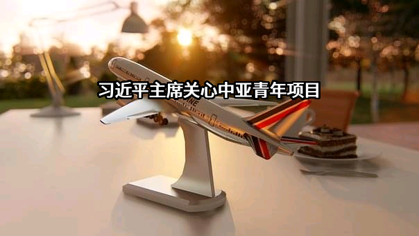 习近平主席关心中亚青年项目