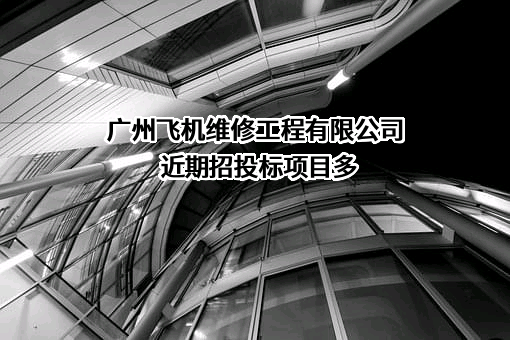 广州飞机维修工程有限公司