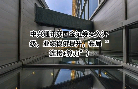 中兴通讯获国金证券买入评级，业绩稳健提升，布局“连接+算力”）