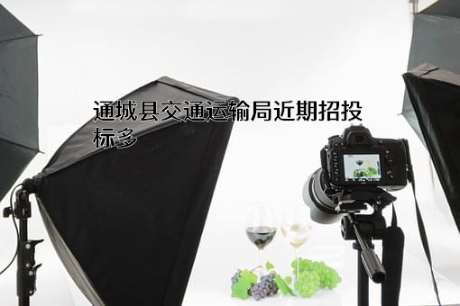 通城县交通运输局近期招投标项目多
