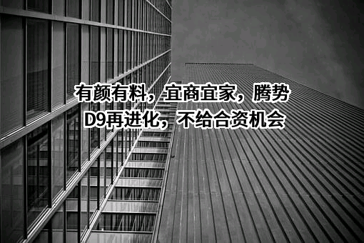 深圳腾势新能源汽车有限公司