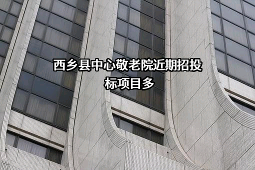 西乡县中心敬老院近期招投标项目多