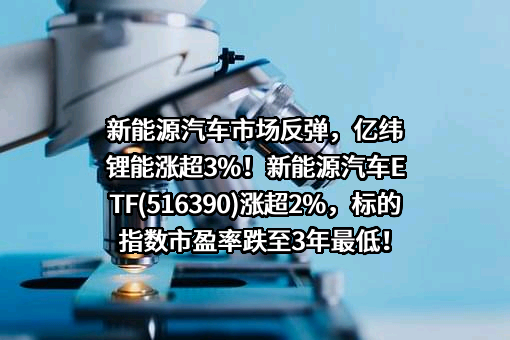 湖北亿纬动力有限公司