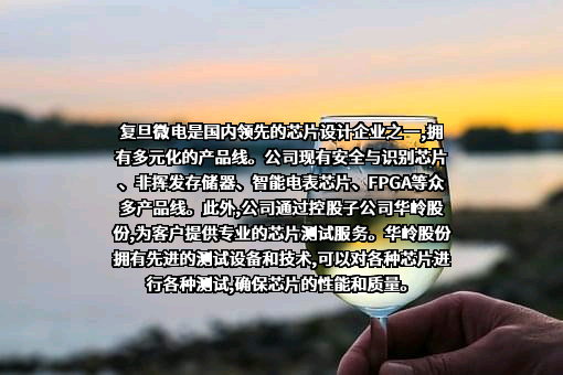上海复旦微电子集团股份有限公司
