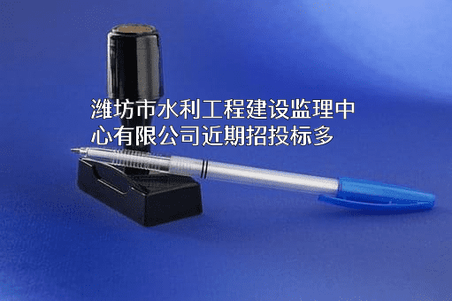 潍坊市水利工程建设监理中心有限公司