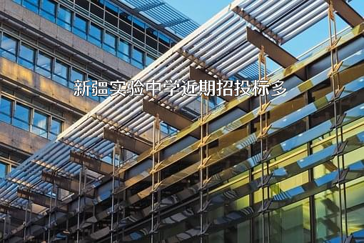新疆实验中学