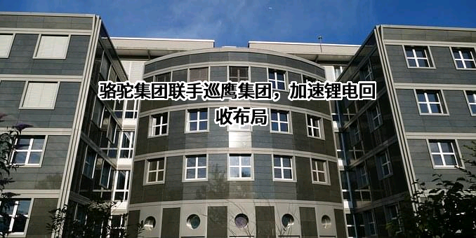 安徽巡鹰新能源集团有限公司