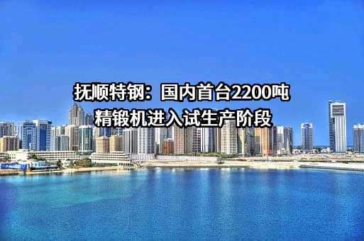 抚顺特殊钢股份有限公司