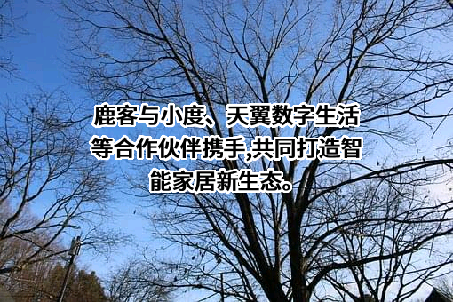 天翼数字生活科技有限公司