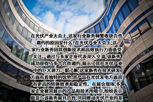 眉山琏升光伏科技有限公司