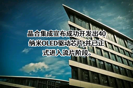 合肥晶合集成电路股份有限公司