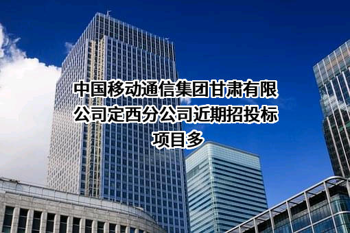 中国移动通信集团甘肃有限公司定西分公司