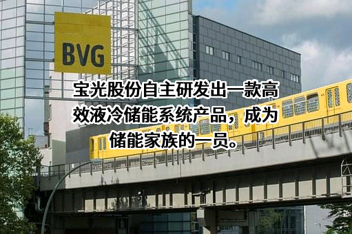 陕西宝光真空电器股份有限公司