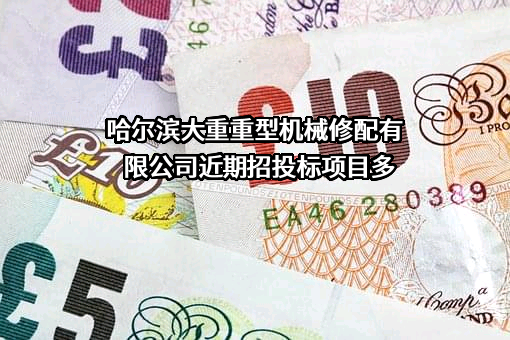 哈尔滨大重重型机械修配有限公司近期招投标项目多