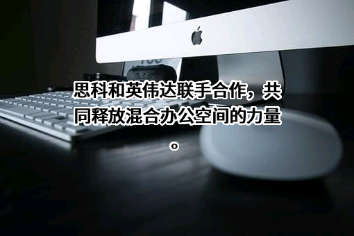 思科（中国）有限公司